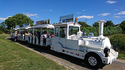 Le Petit Train Touristique