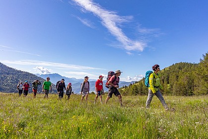Randonnée avec les accompagnateurs en montagne