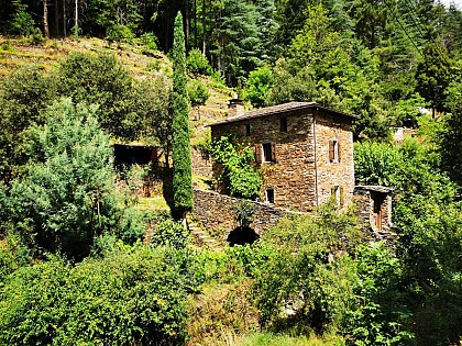 Paradis Cévenol - Cocon des Cévennes