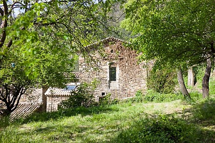 Sous les Pommes - La Mazière