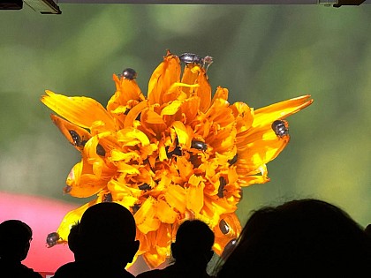 Micro-Folie Saint-Varentais