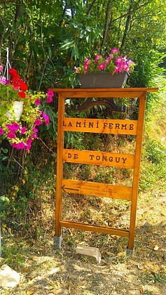 La Mini Ferme de Tonguy