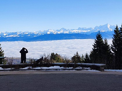 Belvédère du Pailly