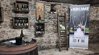 Atelier : Dégustez du vin au chanvre et du fromage dans un chai