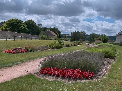 Jardin des plantes médicinales
