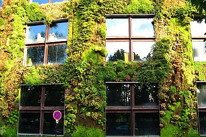 Musée du Quai Branly