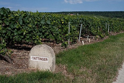 Maison de Champagne Taittinger