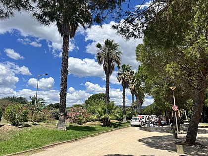 Flea market on the Rambla