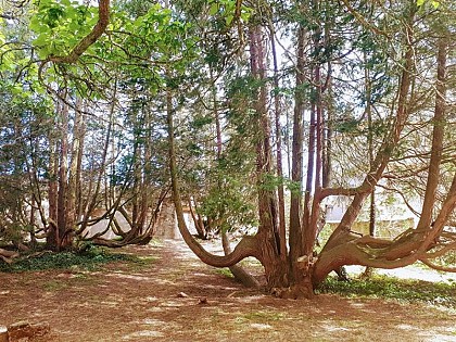 PARC DE LA CITADELLE