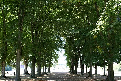 Promenade des Halles