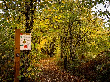Tourbière de Champgazon