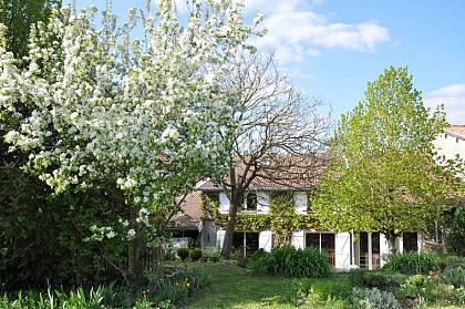 Chambres d'hôtes La Belle Roise