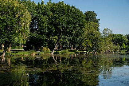 Parc du Moulin de Préblin