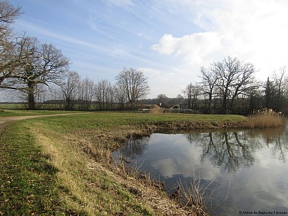 Aire de pique-nique de l'Etang Neuf