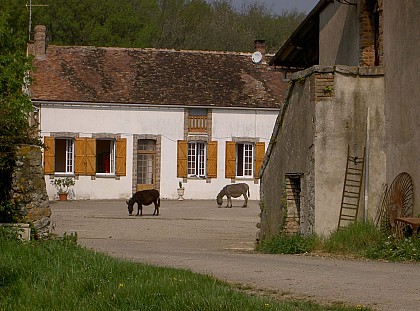 Chambre d'hôtes des Robineaux