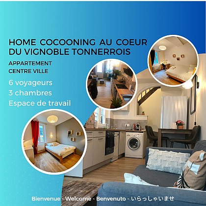 Home cocooning au cœur du vignoble Tonnerrois