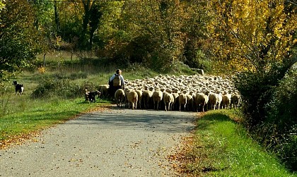 Touchez pas au grisbi !