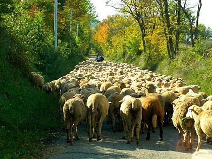 Les Drailles ou Draye