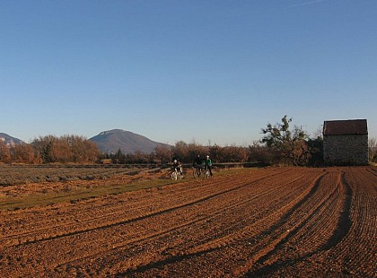 Le cabanon de Saint-Maxime