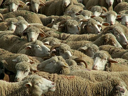 Un problème d’arithmétique