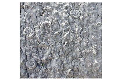 A Digne, ils ont la dalle