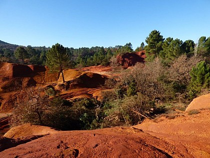 Restoring the views on the Provençal Colorado