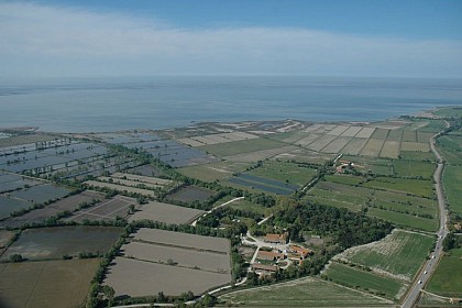 Les milieux cultivés