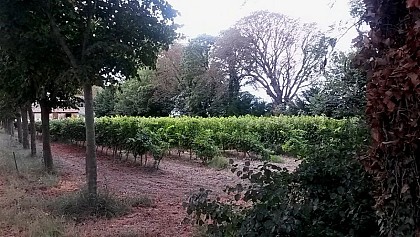 Le domaine de Bouchaud