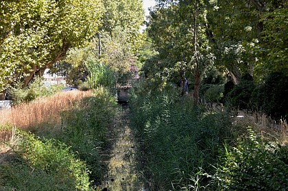 Le canal de Craponne