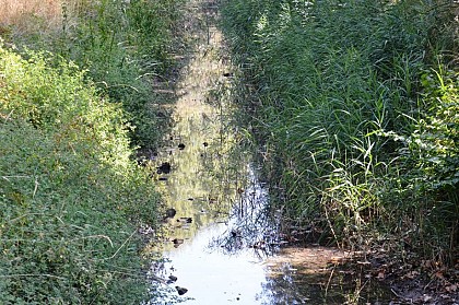 The water of the Craponne canal