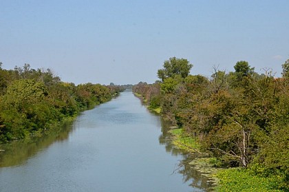 Le canal du Vigueirat