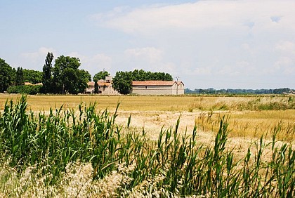 The old Bühler cellars and winegrowing in the Camargue