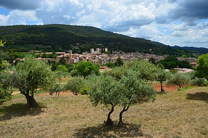 Anan à Zaou per lei rabasse !