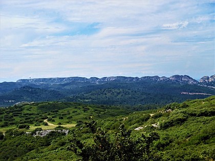 View of the Caume plateau and the Alpilles ridge