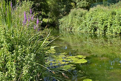 Le Parc de la Confluence