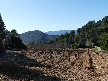 De la nature à l'agriculture
