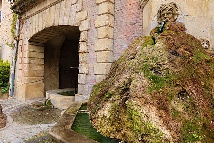 Fontaine moussue et son lavoir