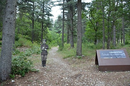 Sentier de reboisement du Ventoux