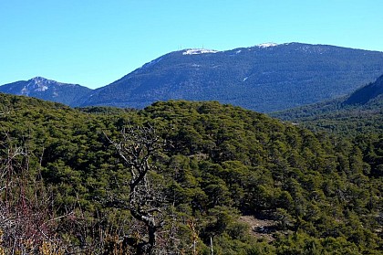 D'ici ne Lachens rien