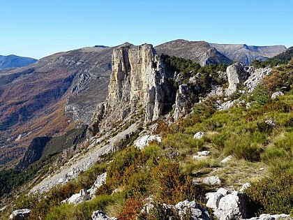 Toponymie : Un cade d’espèce