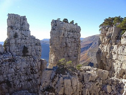 Naturellement monumental