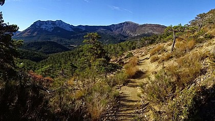 La vallée des sirènes fossiles