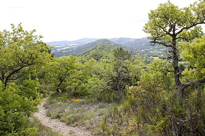 Entre plaines fertiles et crêtes généreuses