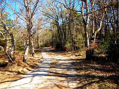 Pour les glandeurs…