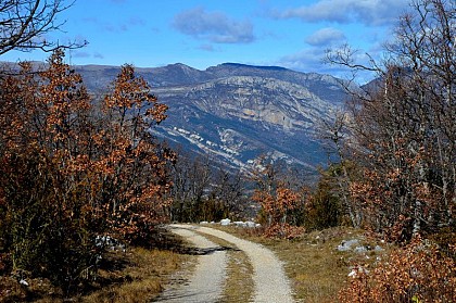 Les contreforts du Verdon