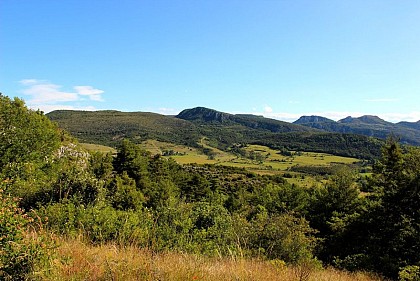Point de vue