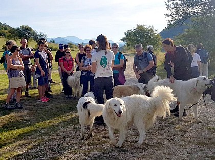 Les chiens aboient et la caravane passe