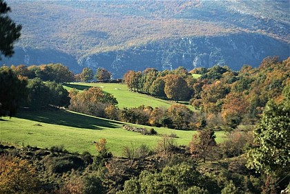 Le domaine des Courmettes