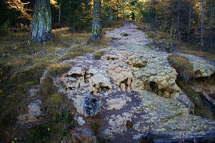 A petrifying fountain