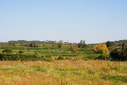 The Montmajour abbey